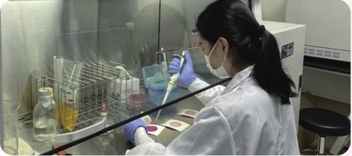 성분 안정성 시험을 진행하는 연구원